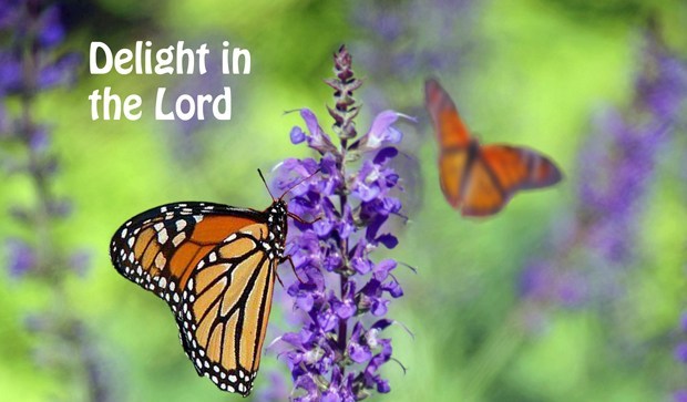 Delight-In-The-Lord