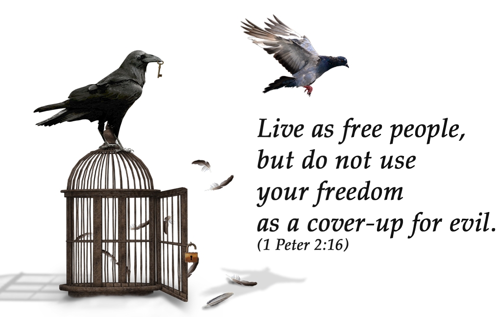 1 Peter 2 11-26-Free
